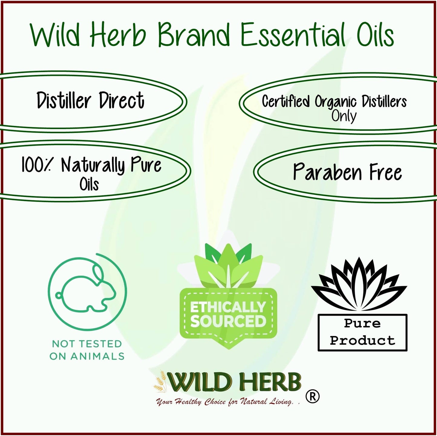 Memory Pure Essential Oil Blend Nasal Inhaler | Aromatherapy