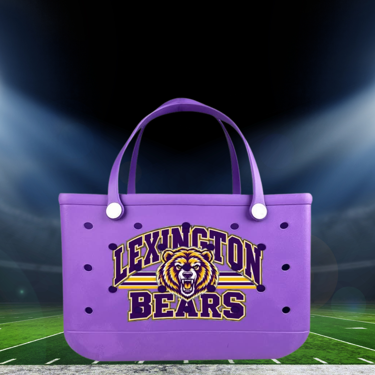 Lexington Bears Bag